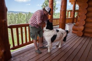 dogs and log cabin decks
